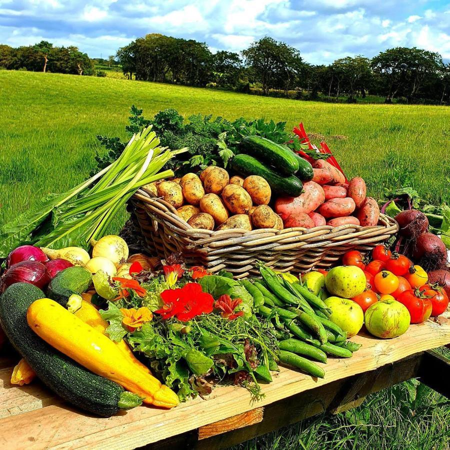 Ballylagan Organic Farm Straid  Ngoại thất bức ảnh